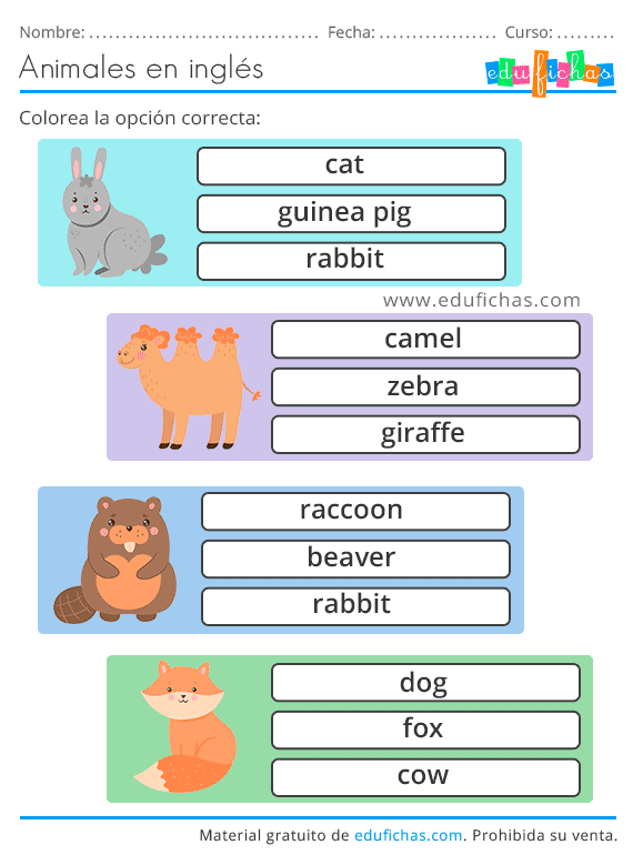 Animales En Ingles Vocabulario Ejercicios Flashcards Learning Images